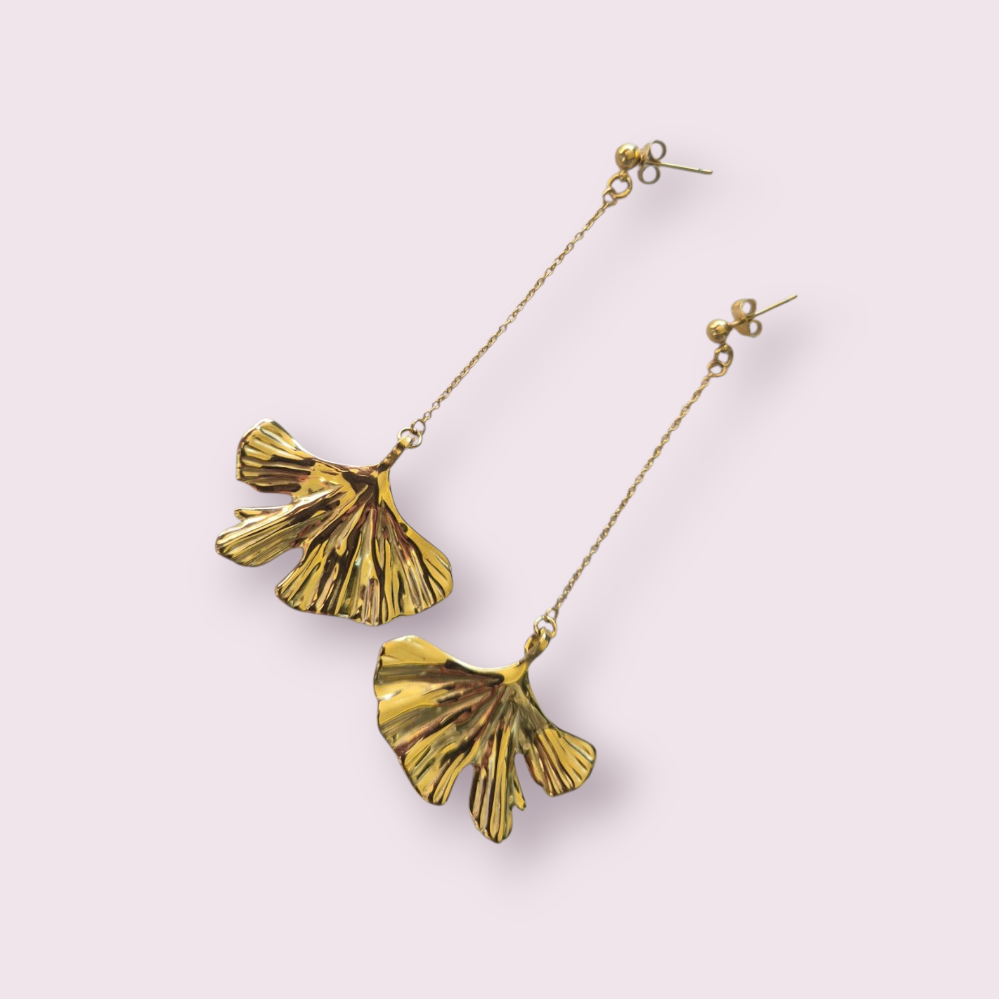 Ginkgo