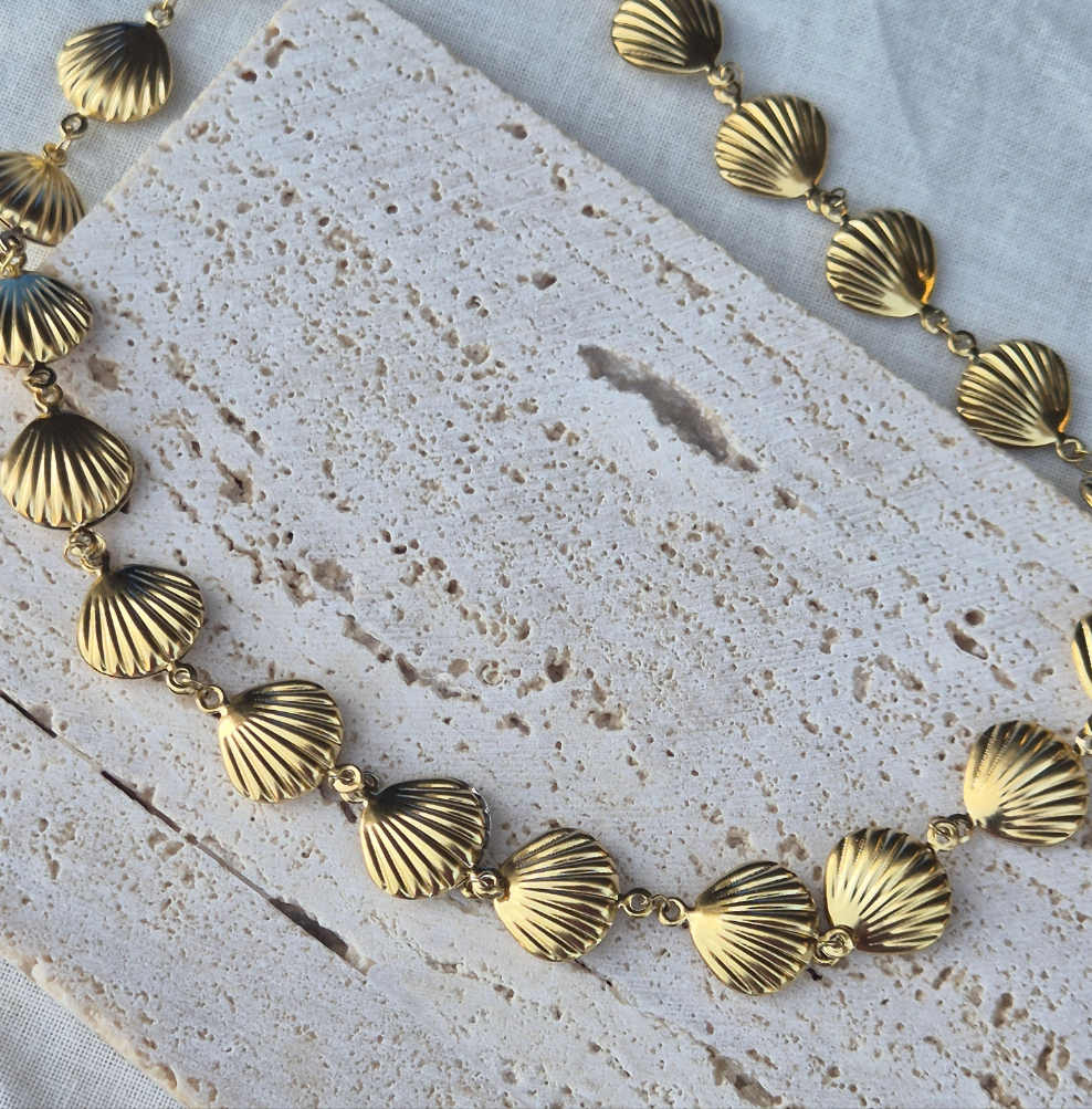 Collier coquillage