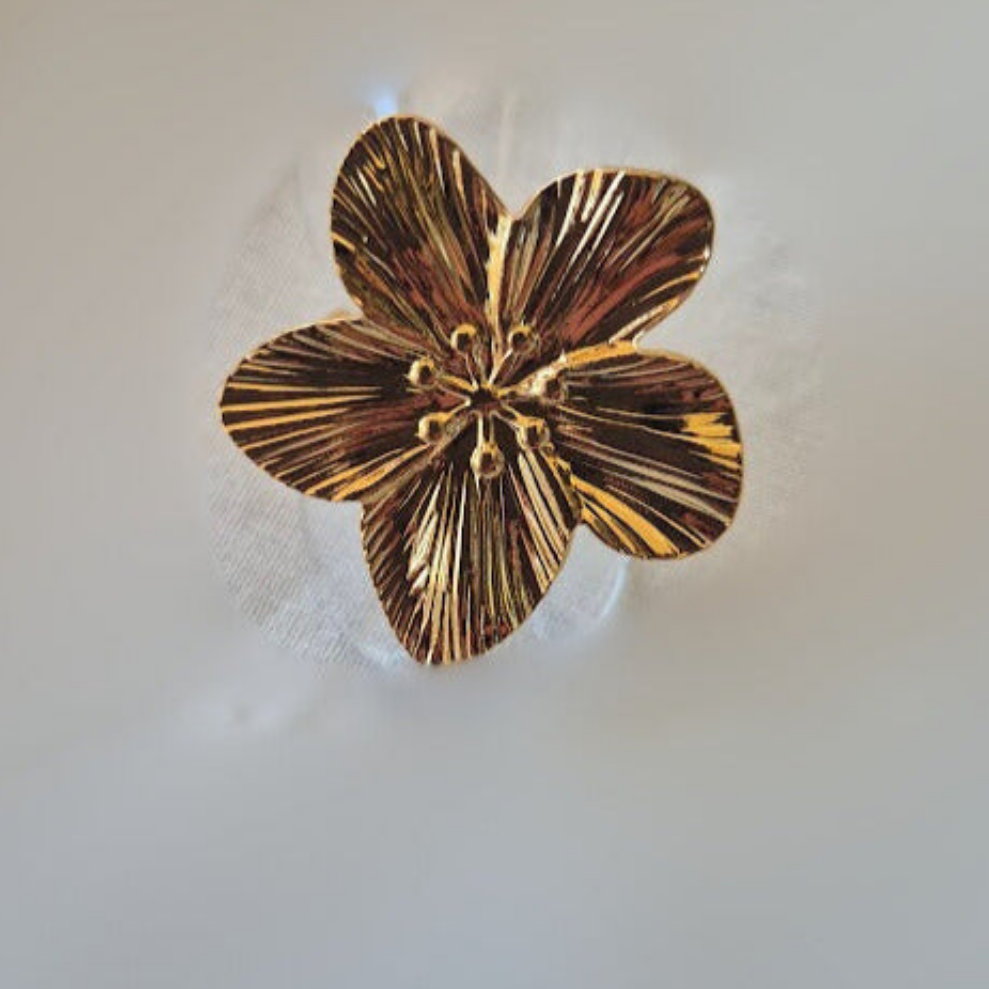 Bague Mohana