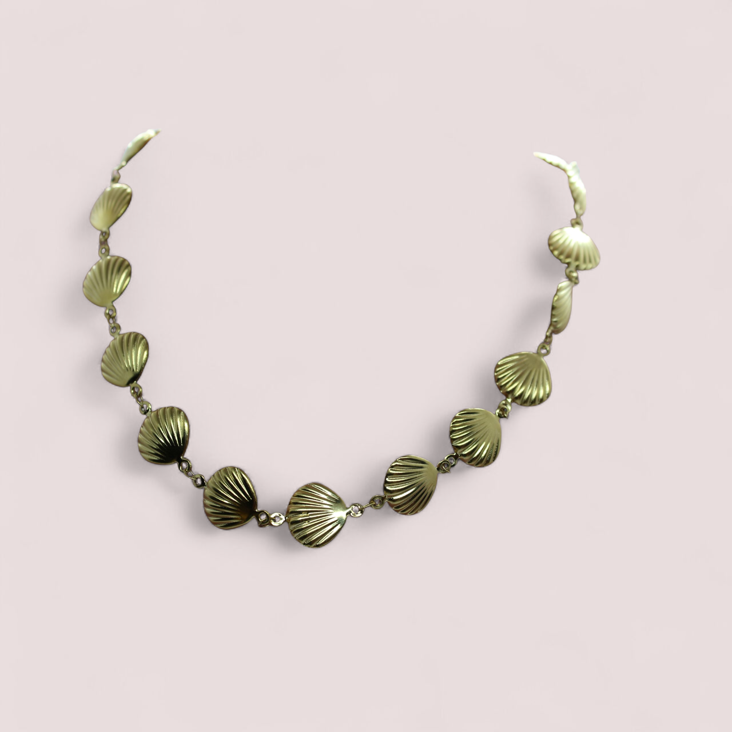 Collier coquillage