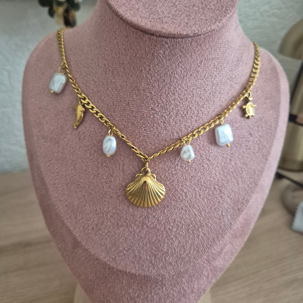 Coquillage