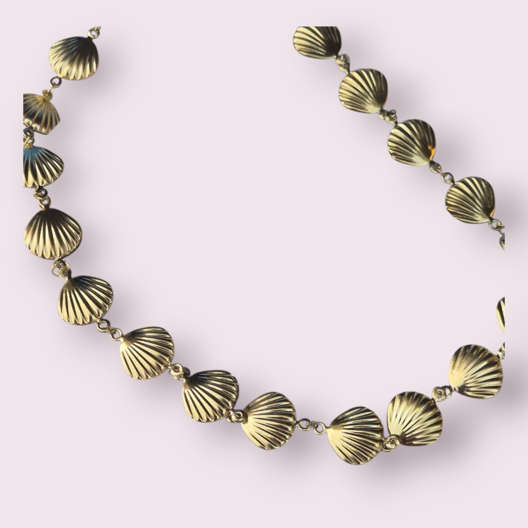 Collier coquillage