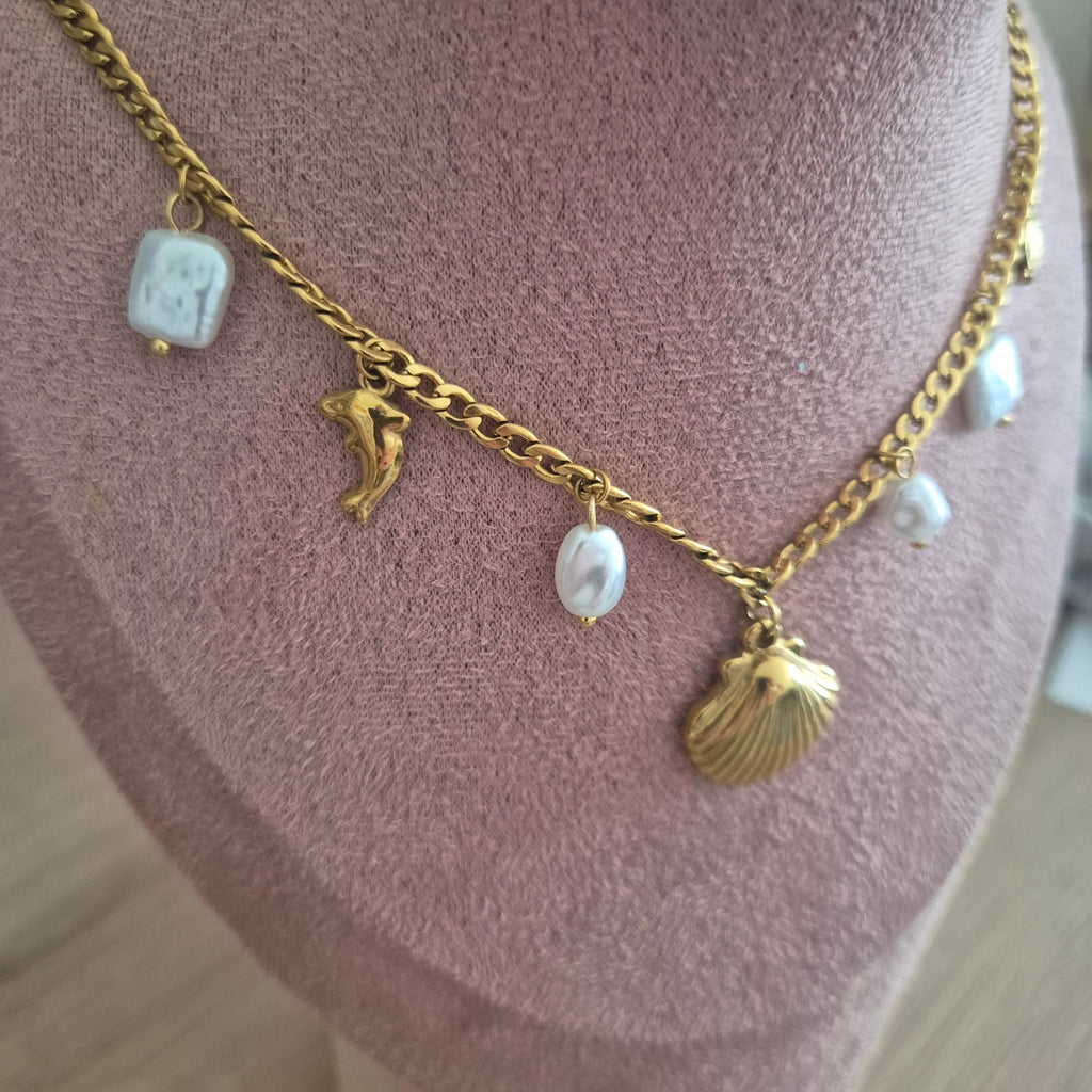 Coquillage