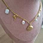Coquillage
