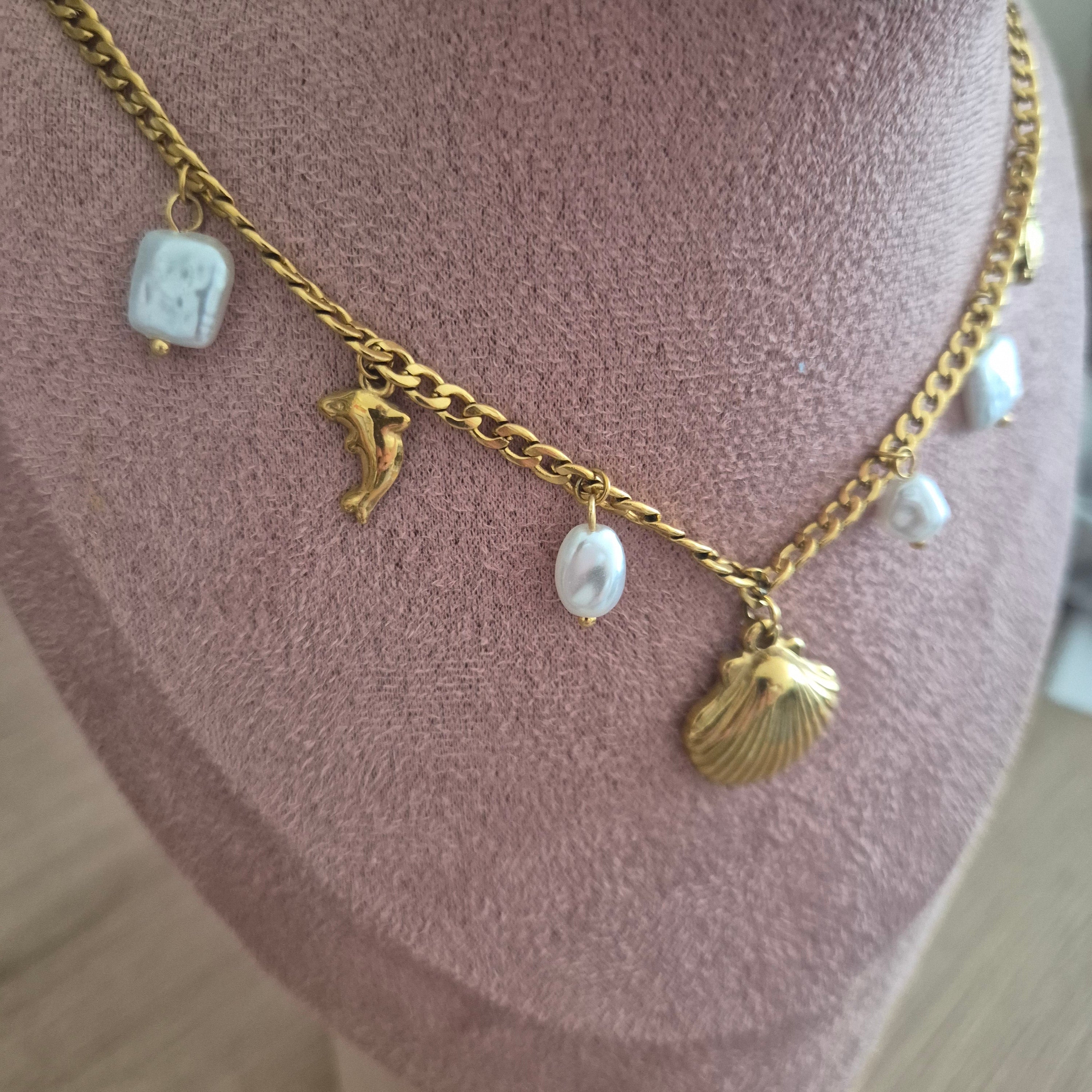 Coquillage